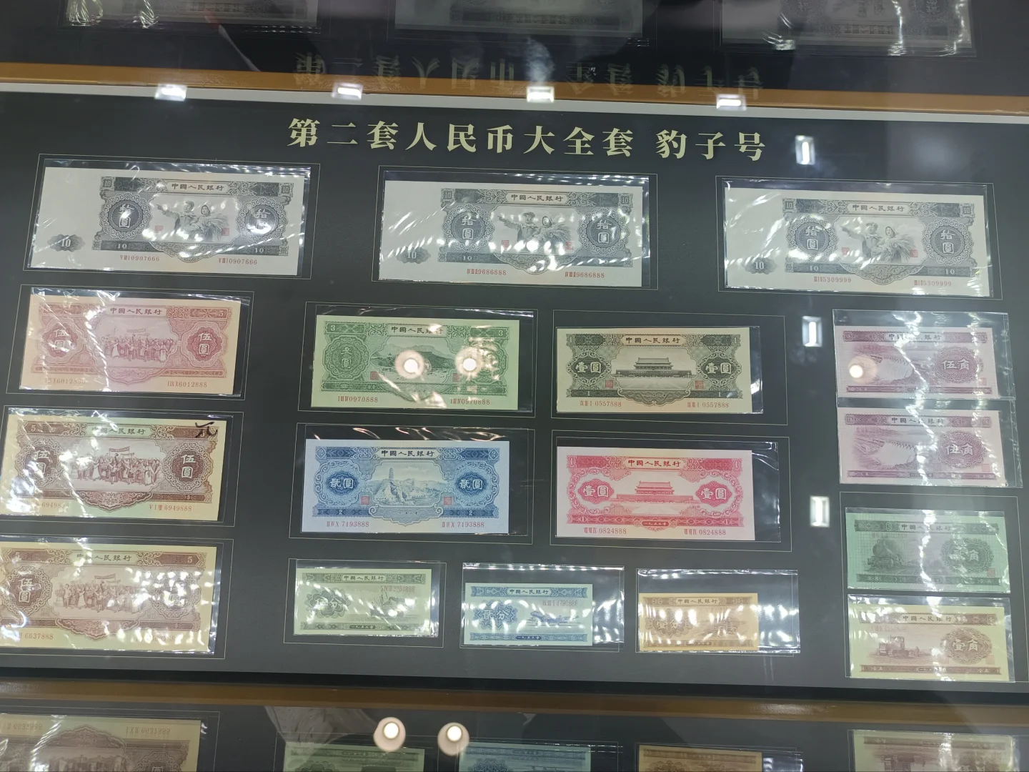 2024钱币博览会，你还不会怎么薅羊毛吗？