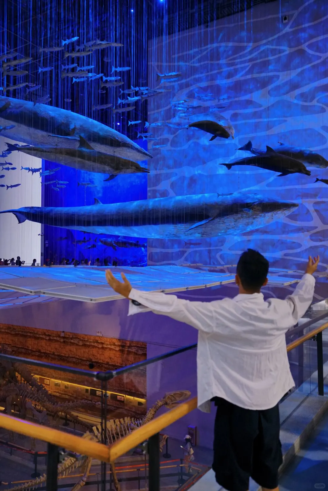 在广州8年，分享我私藏❤️的广州一日游路线