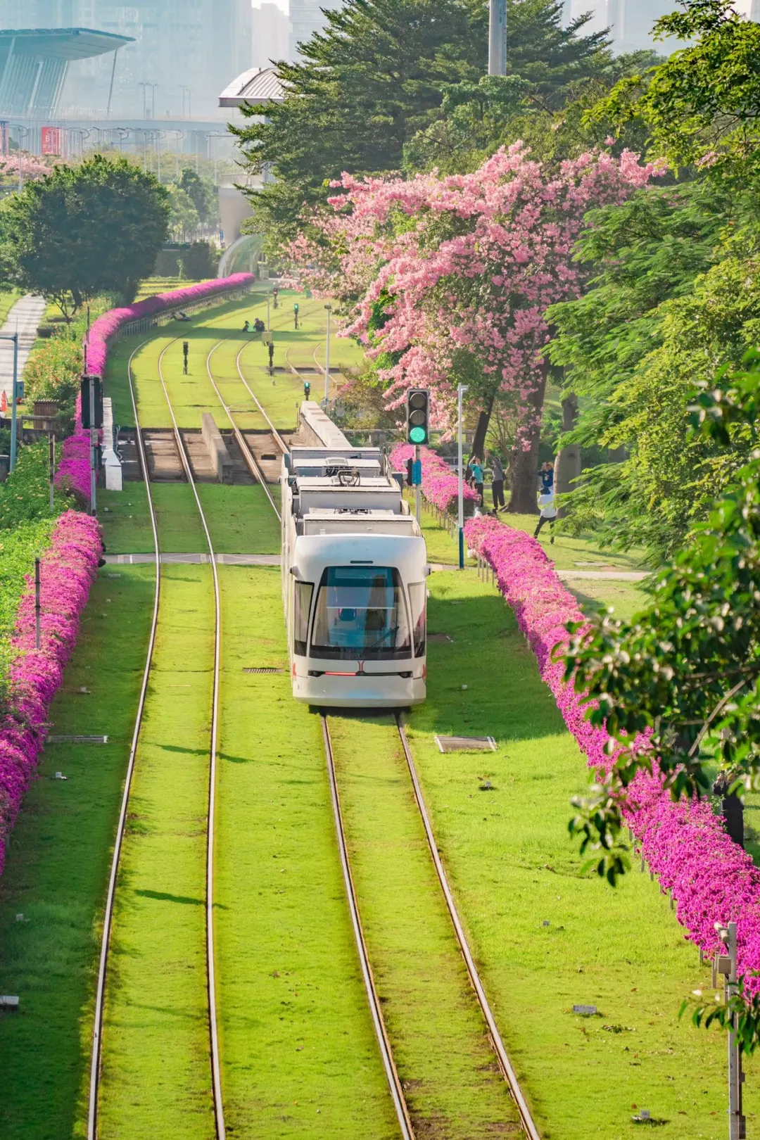 在广州8年，分享我私藏❤️的广州一日游路线