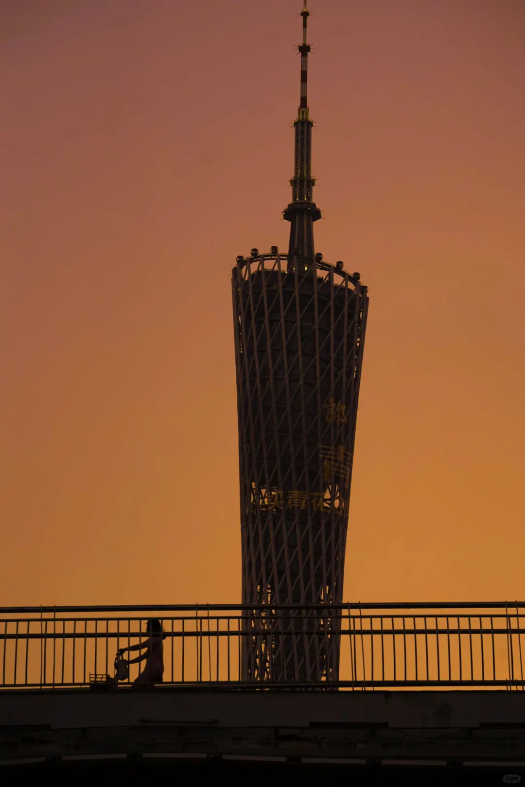 在广州8年，分享我私藏❤️的广州一日游路线