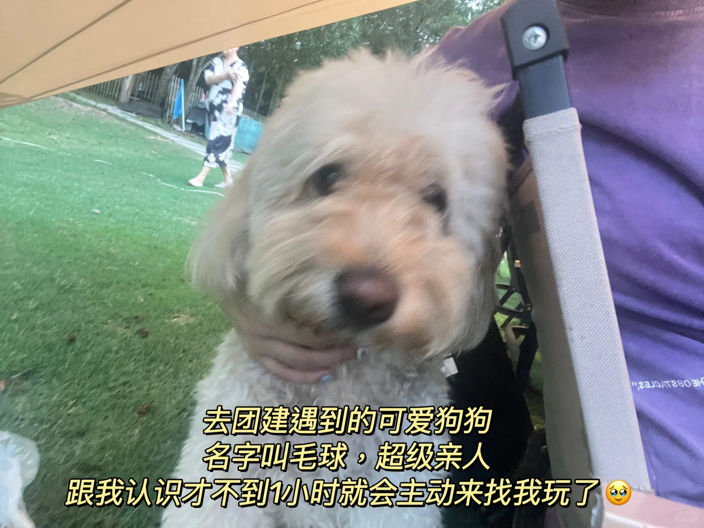 北漂回琼｜ 海口会展人的打工日记No.2