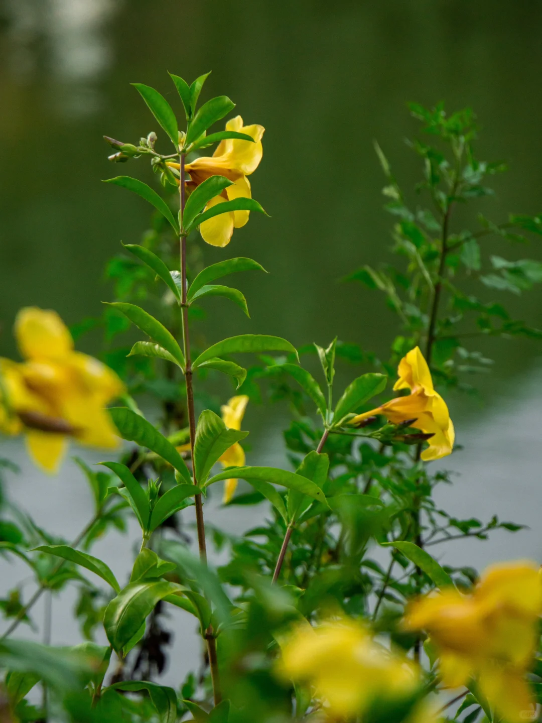 北漂回琼｜ 海口会展人的打工日记No.2