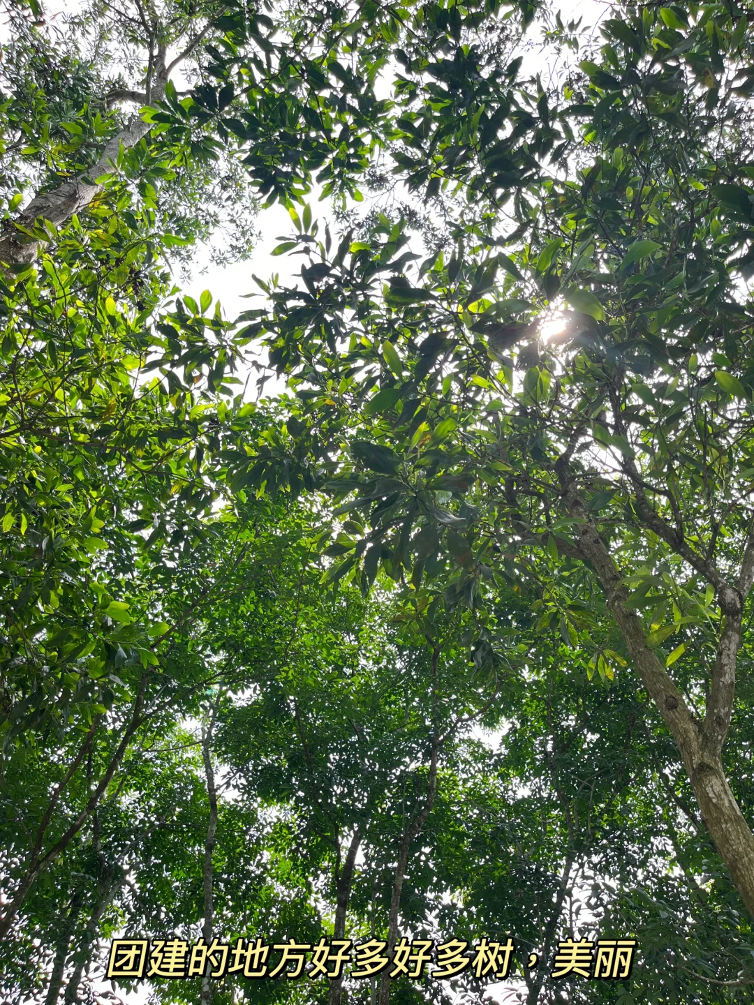 北漂回琼｜ 海口会展人的打工日记No.2