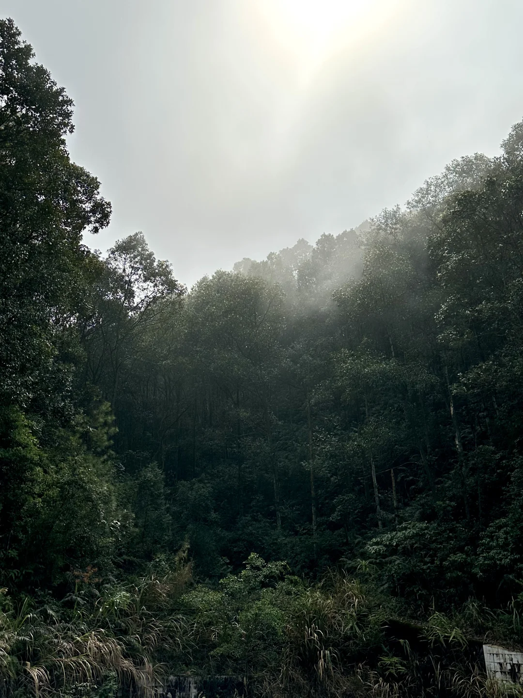 周末吃苦|太久没长途 小坪让我骑到坐骨痛?