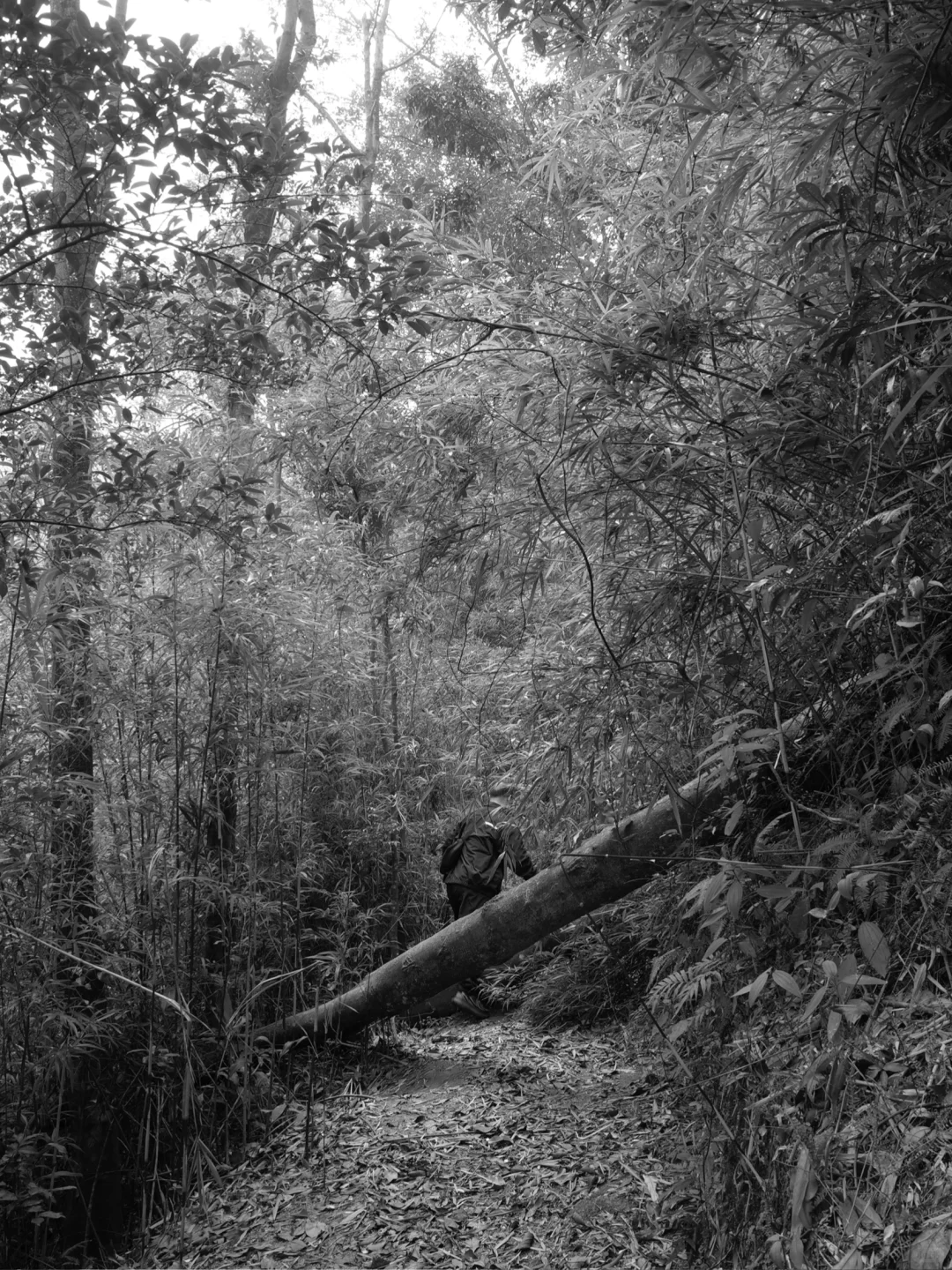 周末吃苦|太久没长途 小坪让我骑到坐骨痛?