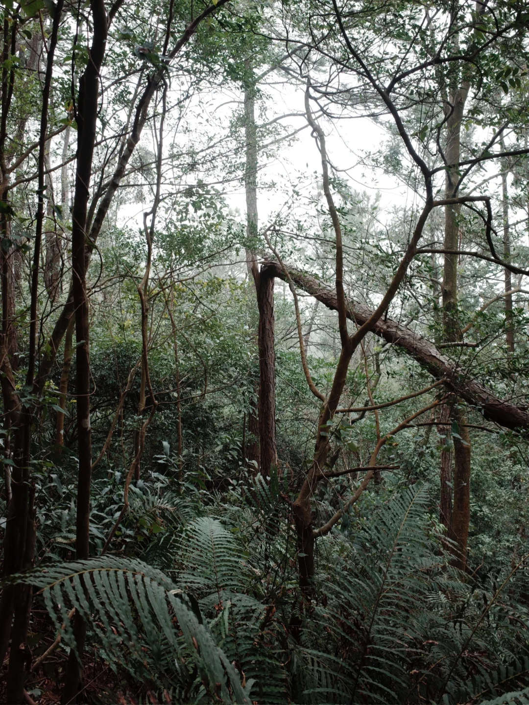 周末吃苦|太久没长途 小坪让我骑到坐骨痛?