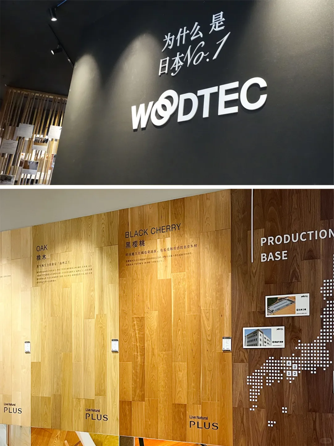 日本朝日木泰科，东京展会现场?