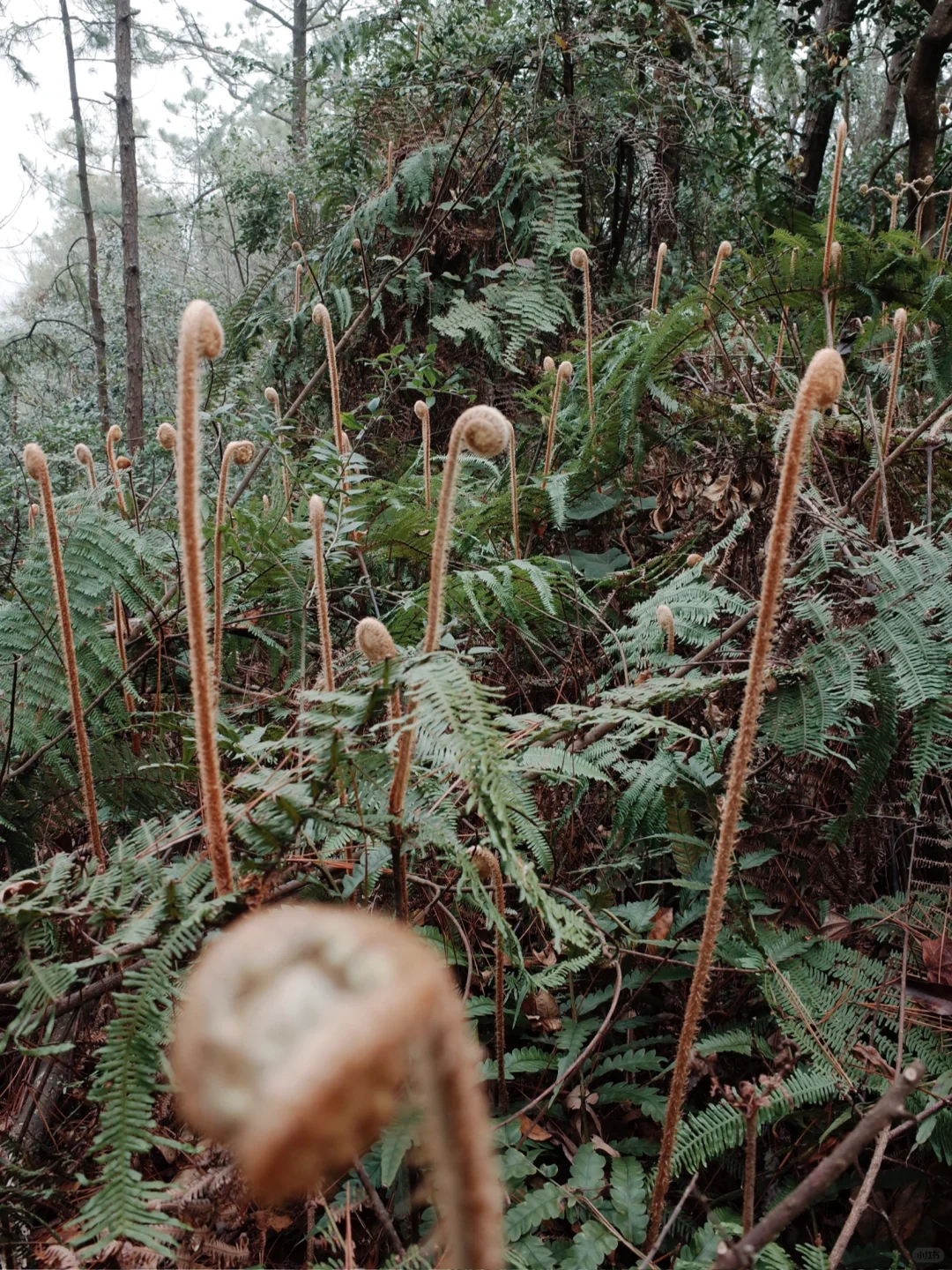 周末吃苦|太久没长途 小坪让我骑到坐骨痛?