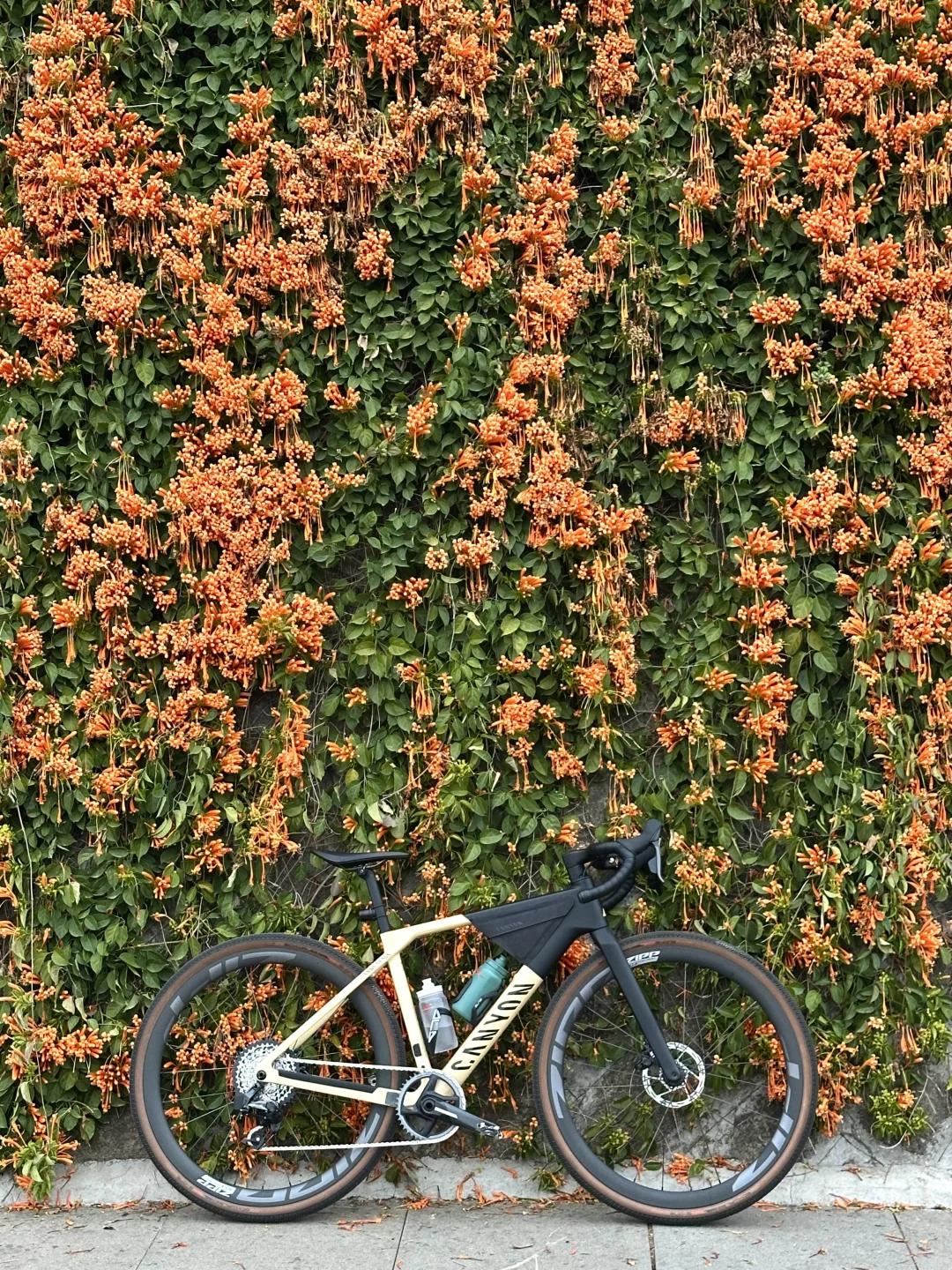 周末吃苦|太久没长途 小坪让我骑到坐骨痛?