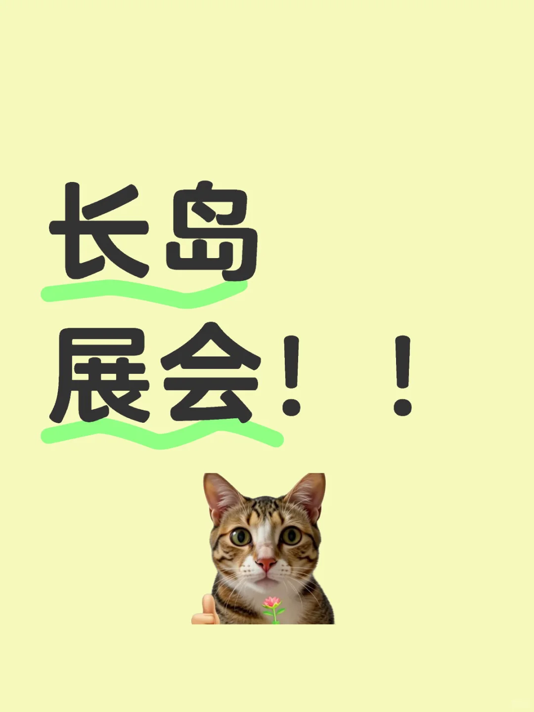 纽约长岛大型展会