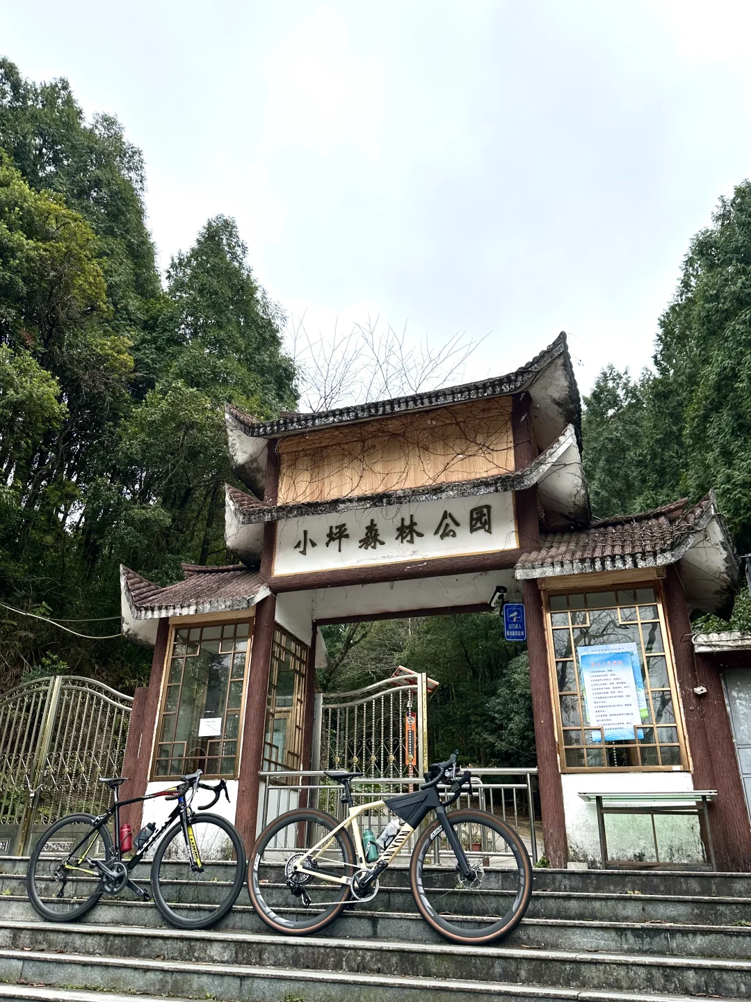 周末吃苦|太久没长途 小坪让我骑到坐骨痛?