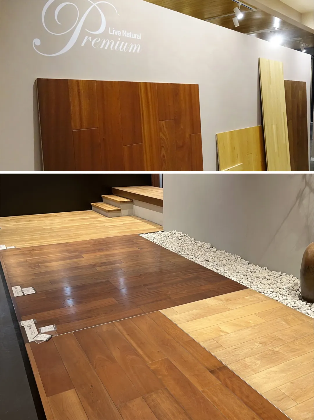 日本朝日木泰科，东京展会现场?