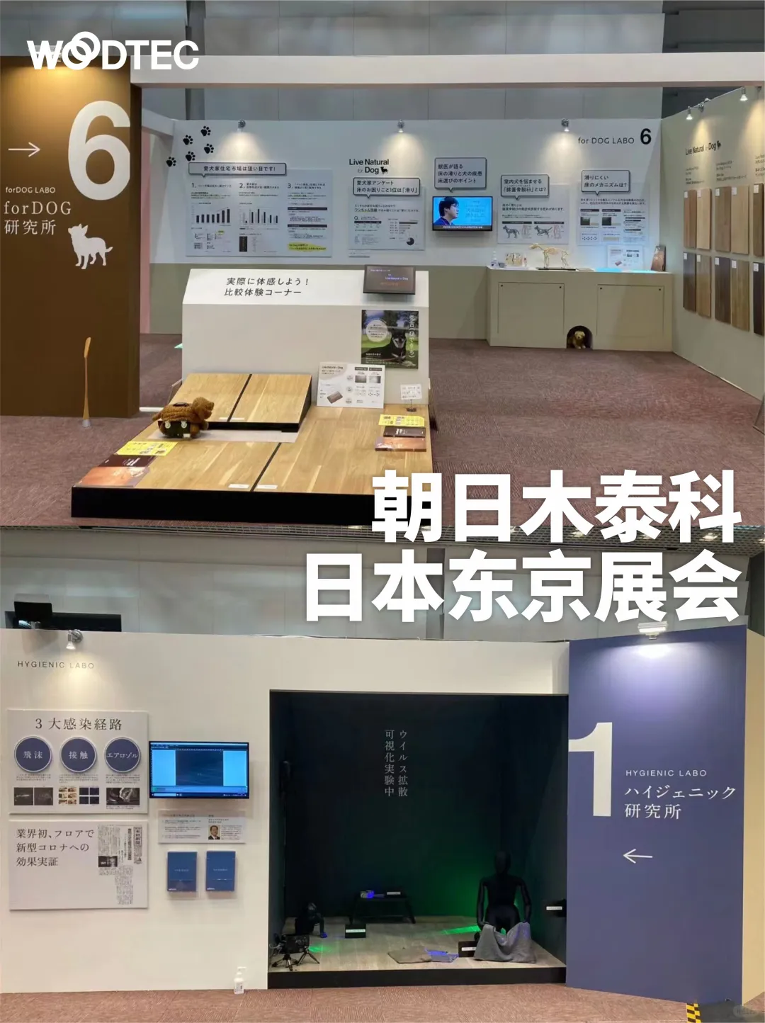 日本朝日木泰科，东京展会现场?