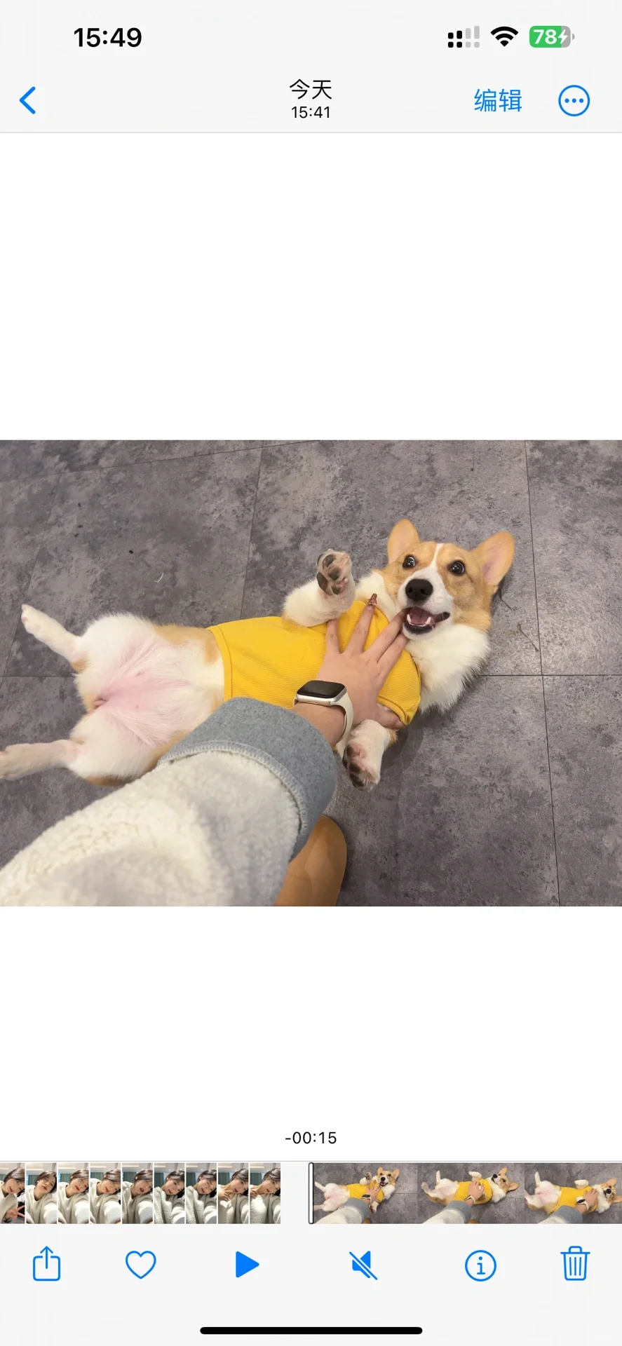 积极乐观才是生活最高级的乐感.