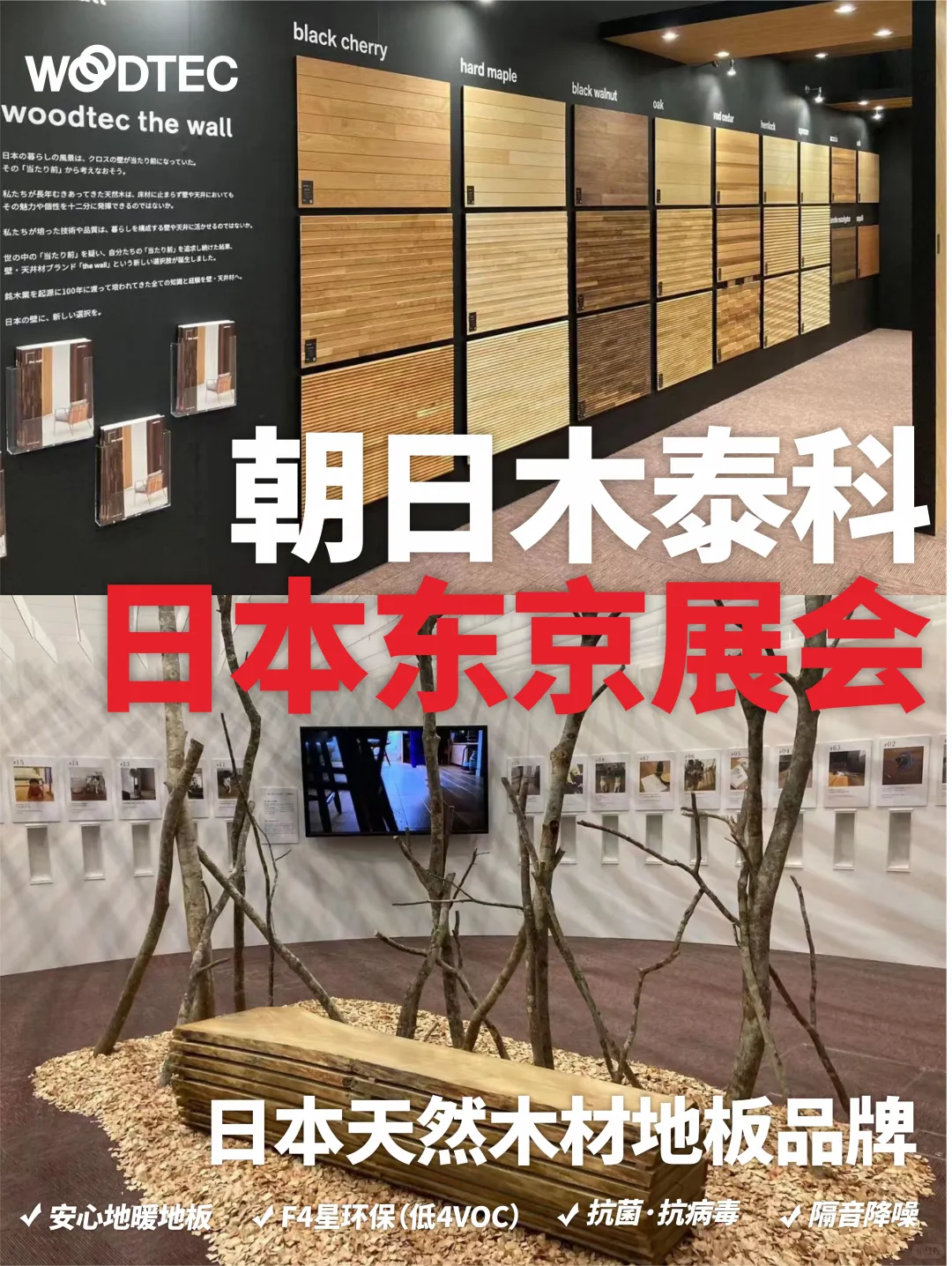 日本朝日木泰科，东京展会现场?