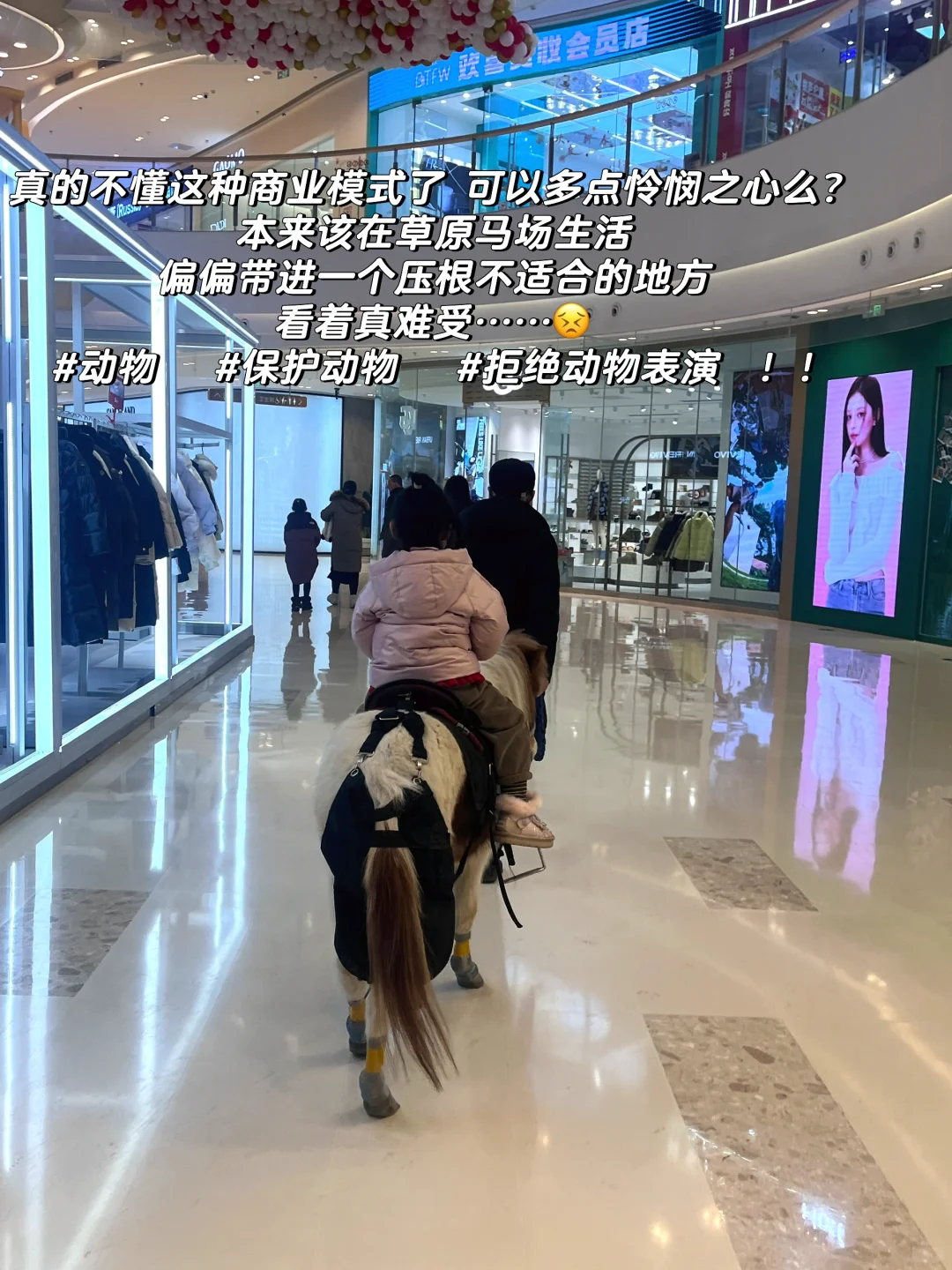 会展吾悦 拒绝动物表演！保护动物