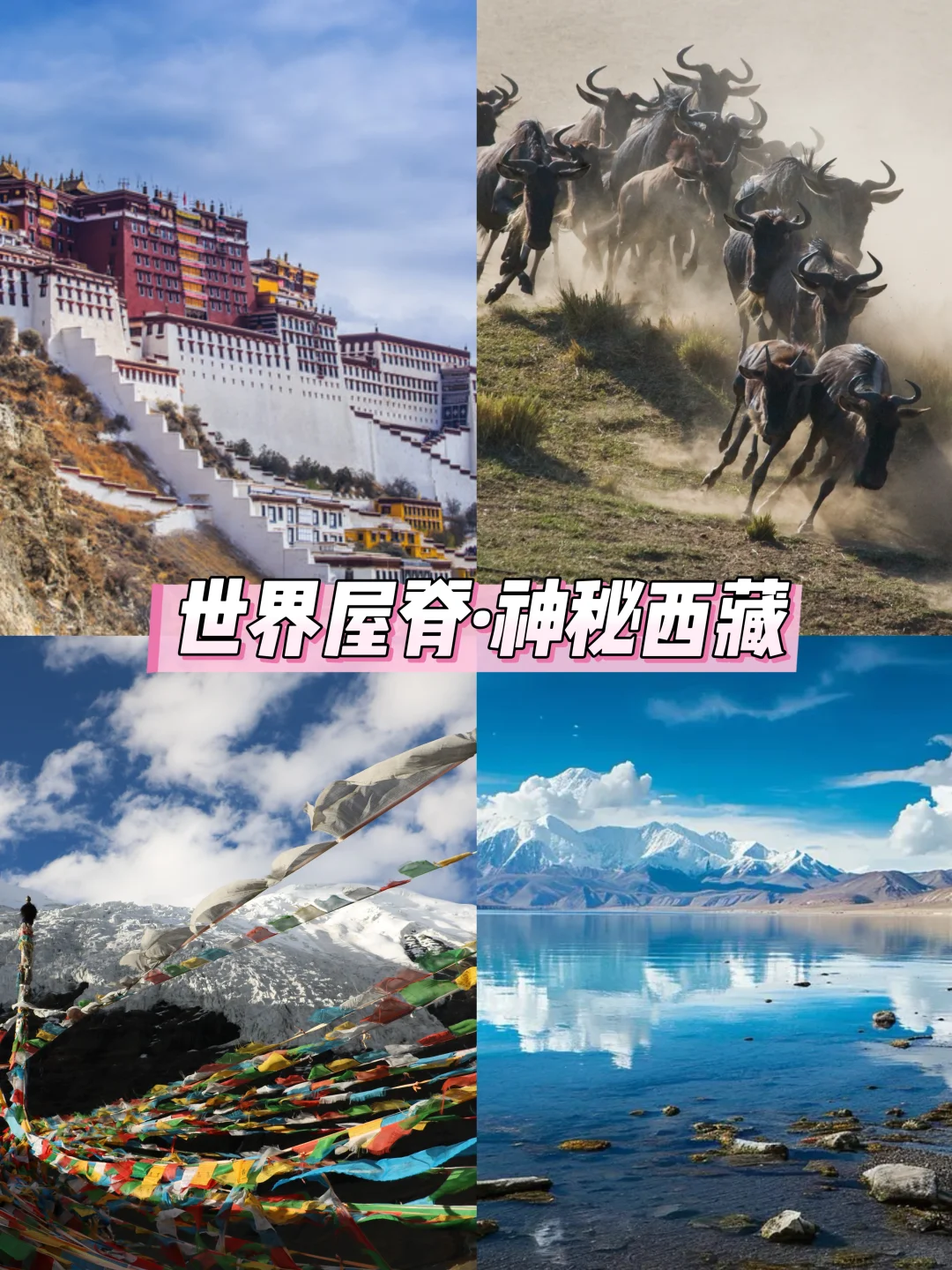 众多展览中我期待的展览终于来啦!