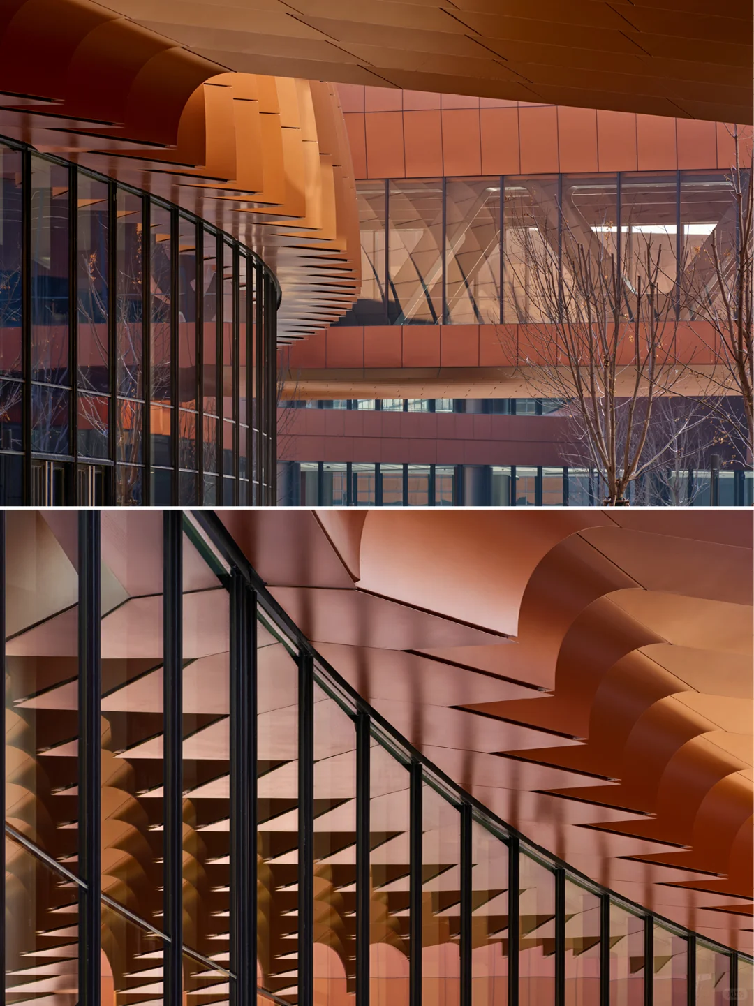 交织的紫金“丝带”?扎哈事务所新作首都国展