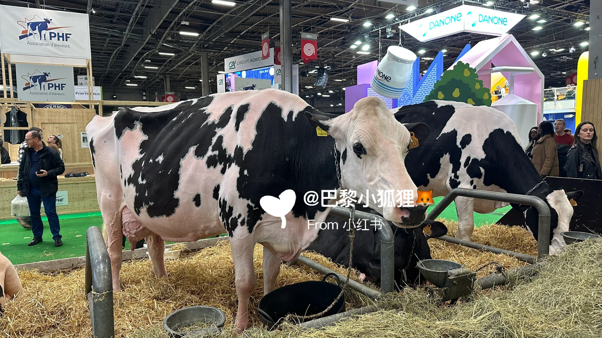 法国农业展首日汇报总结and推荐（个人版）