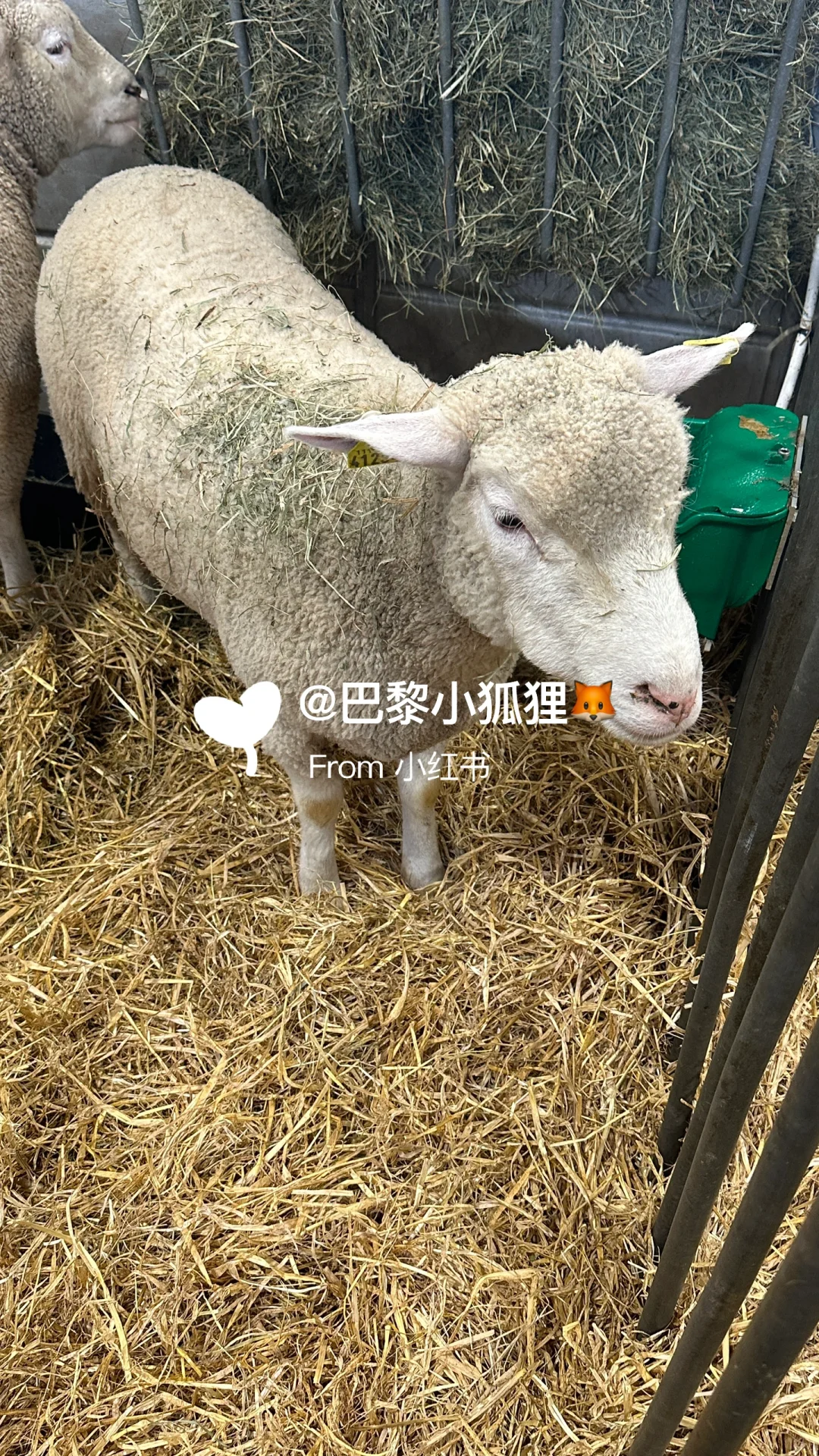 法国农业展首日汇报总结and推荐（个人版）