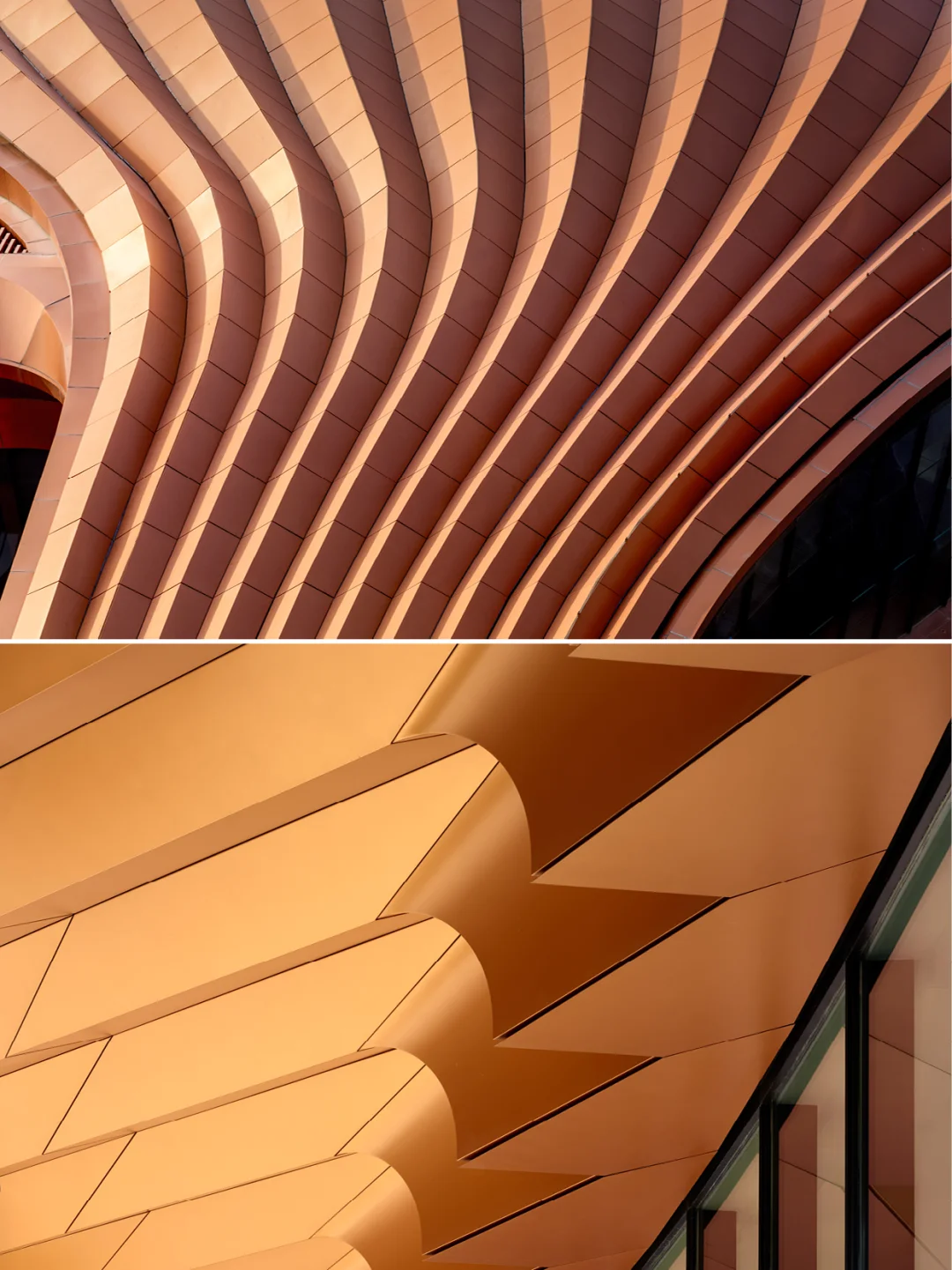 交织的紫金“丝带”?扎哈事务所新作首都国展