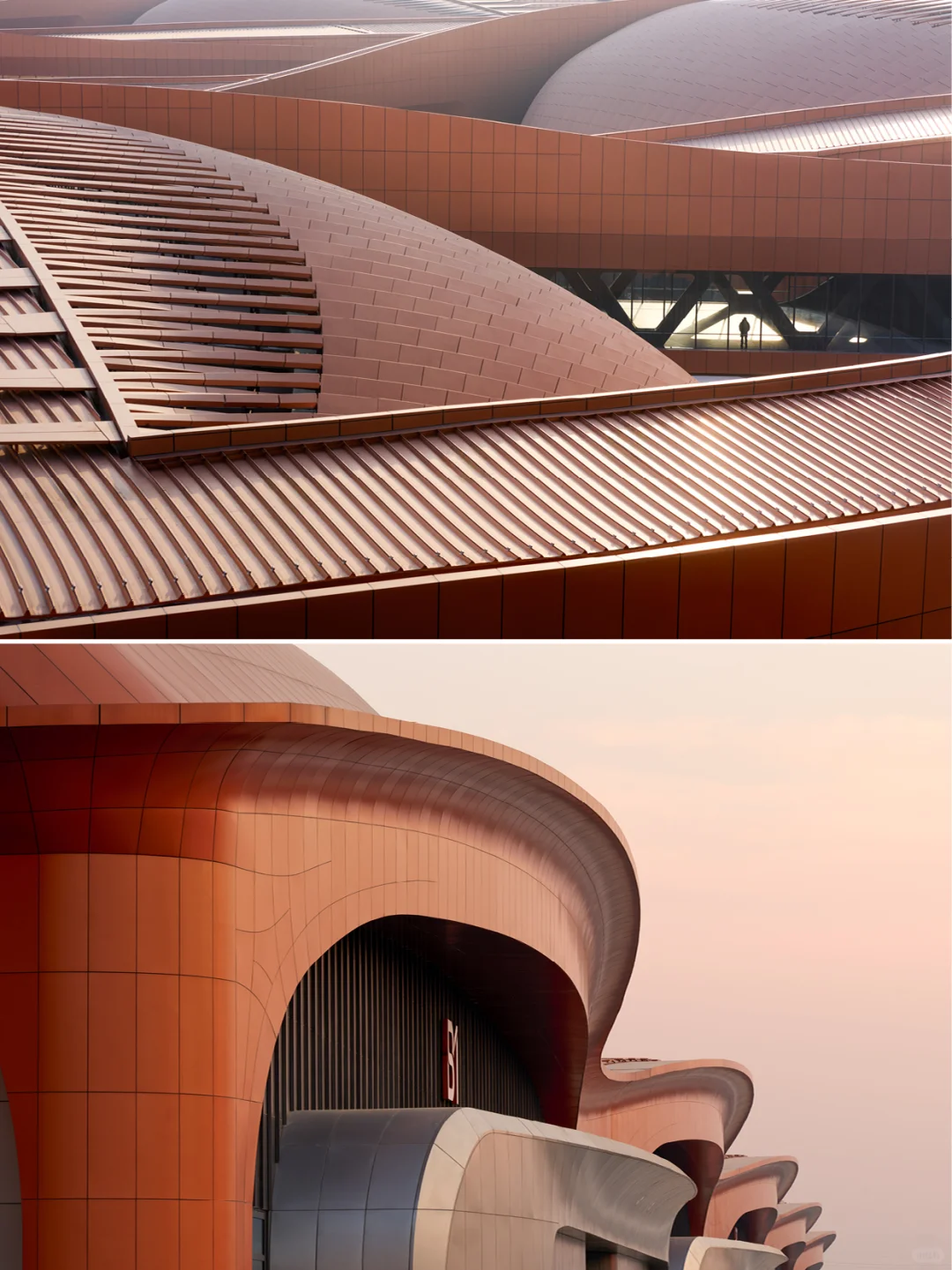 交织的紫金“丝带”?扎哈事务所新作首都国展