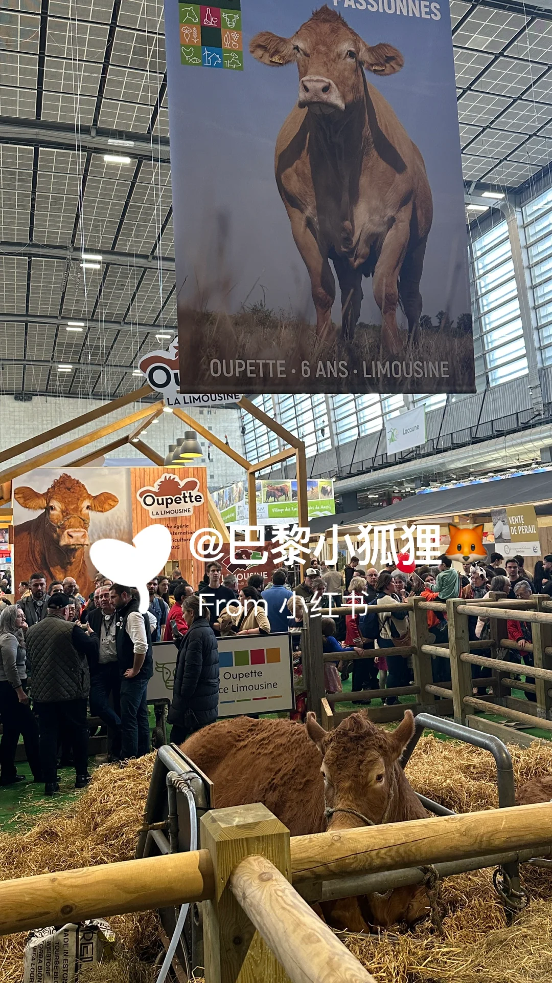 法国农业展首日汇报总结and推荐（个人版）