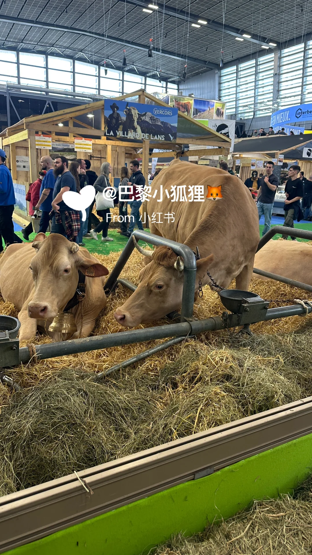 法国农业展首日汇报总结and推荐（个人版）