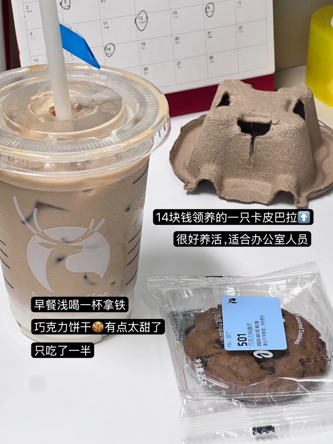 展会商机·适合普通人的副业?plog生活碎片