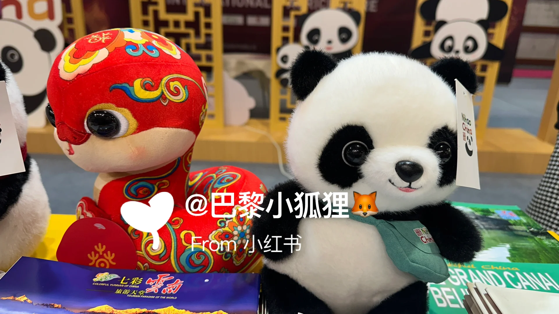 法国农业展首日汇报总结and推荐（个人版）