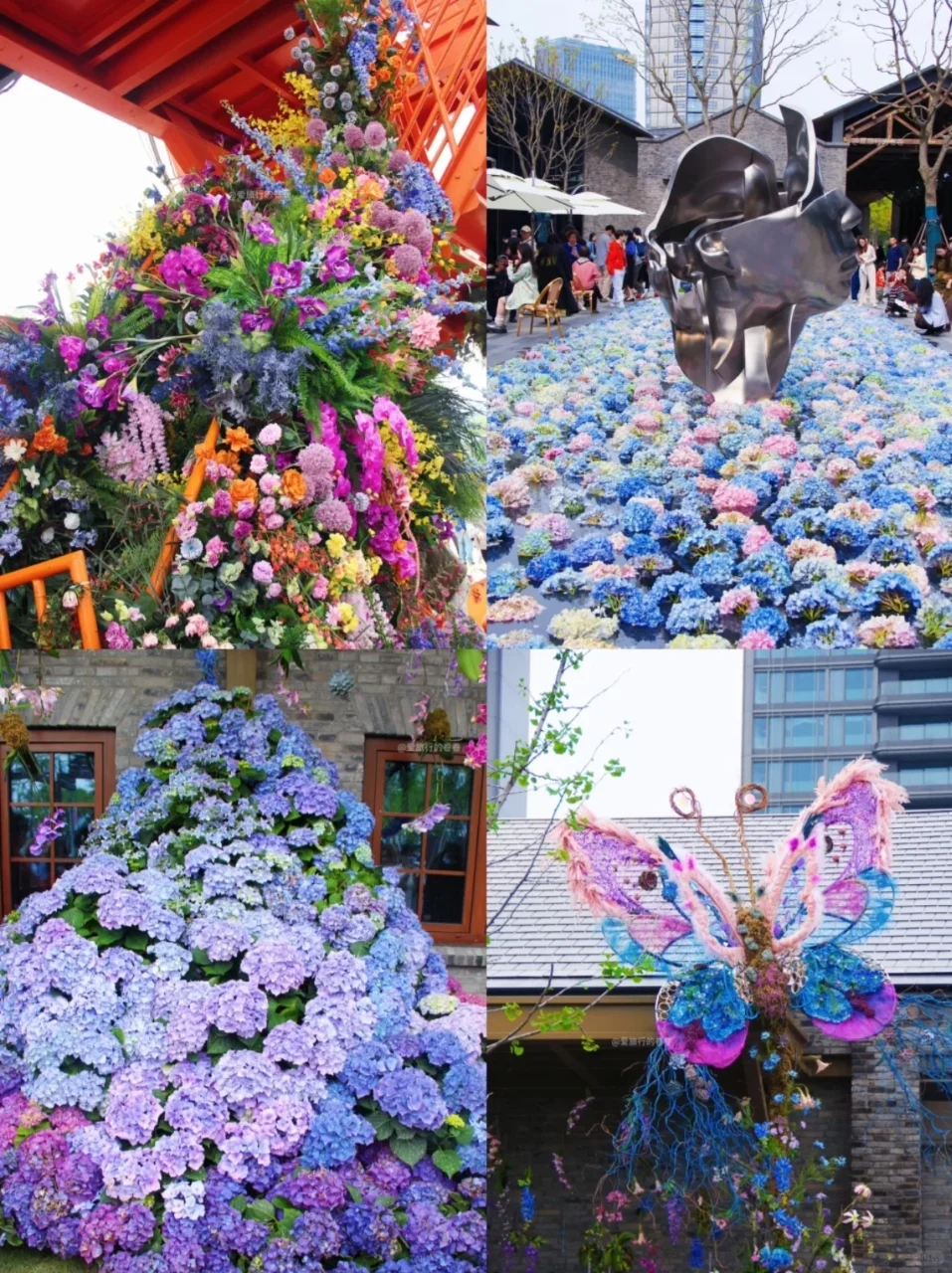 通知！2025上海国际花展免费门票最后20天！