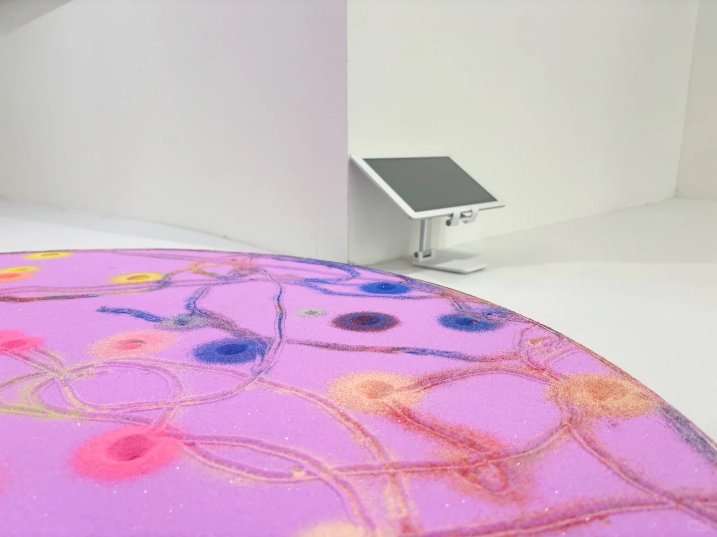 展览作品被观众踩坏了怎么办？