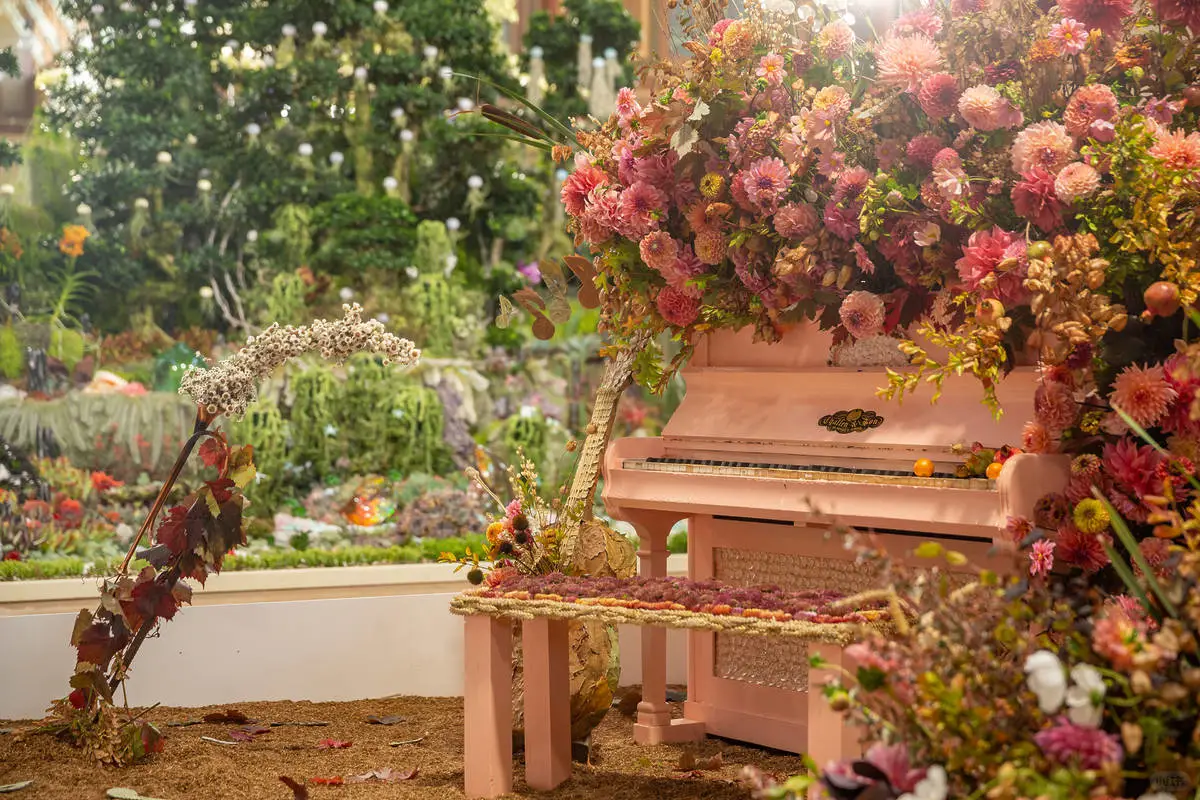 ? 3月,墨尔本最出片的地方!姐妹们?