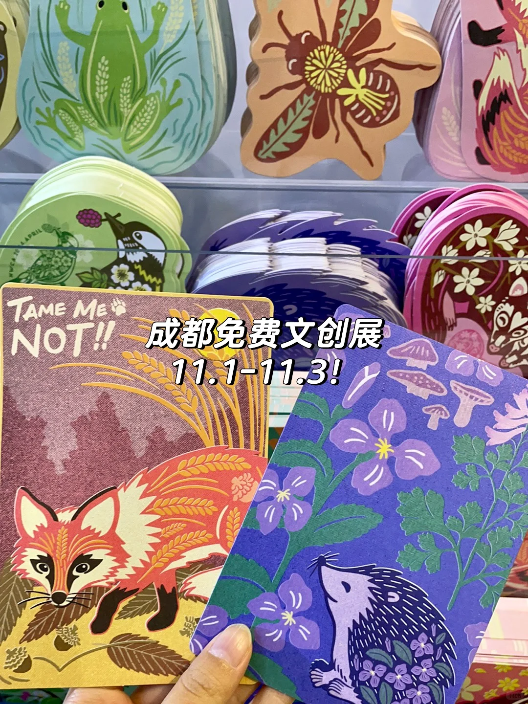 一个比想象中好逛的展览