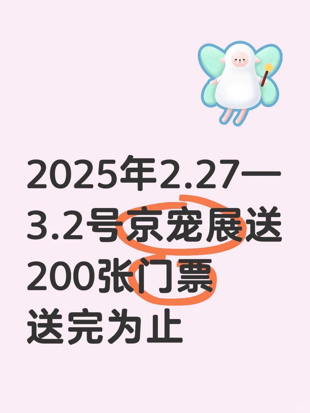 想参加展会的联系我