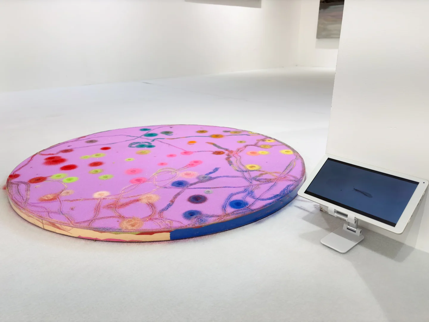 展览作品被观众踩坏了怎么办？