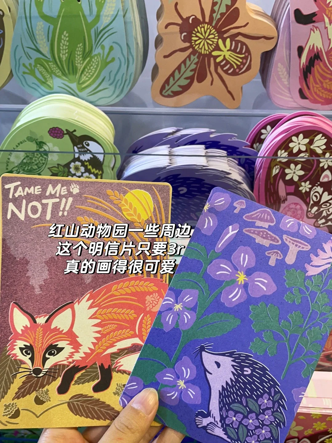 一个比想象中好逛的展览