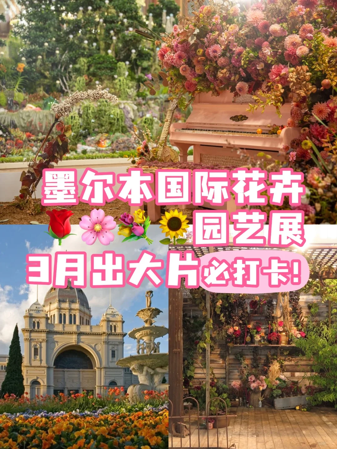 ? 3月,墨尔本最出片的地方!姐妹们?