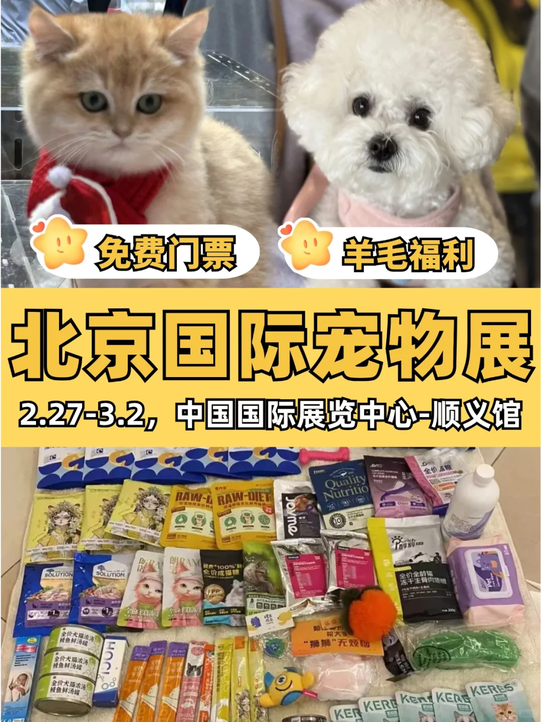 北京宠物展攻略?0元门票+必囤清单