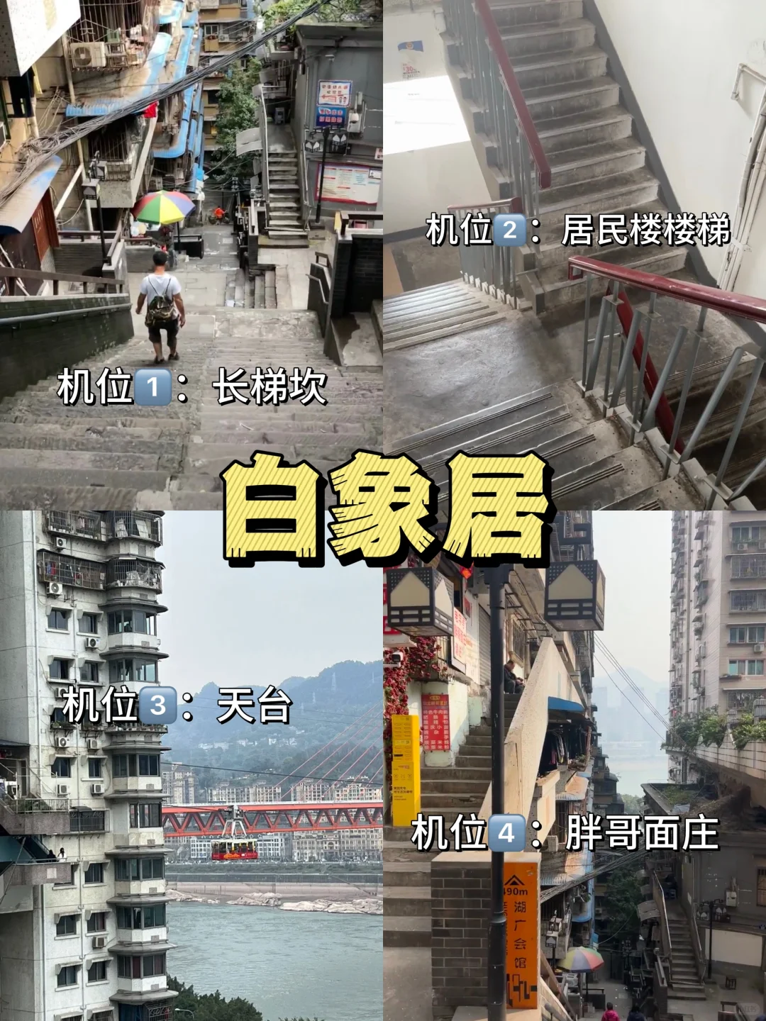 重庆主城一日游?轻松游玩 不绕路！