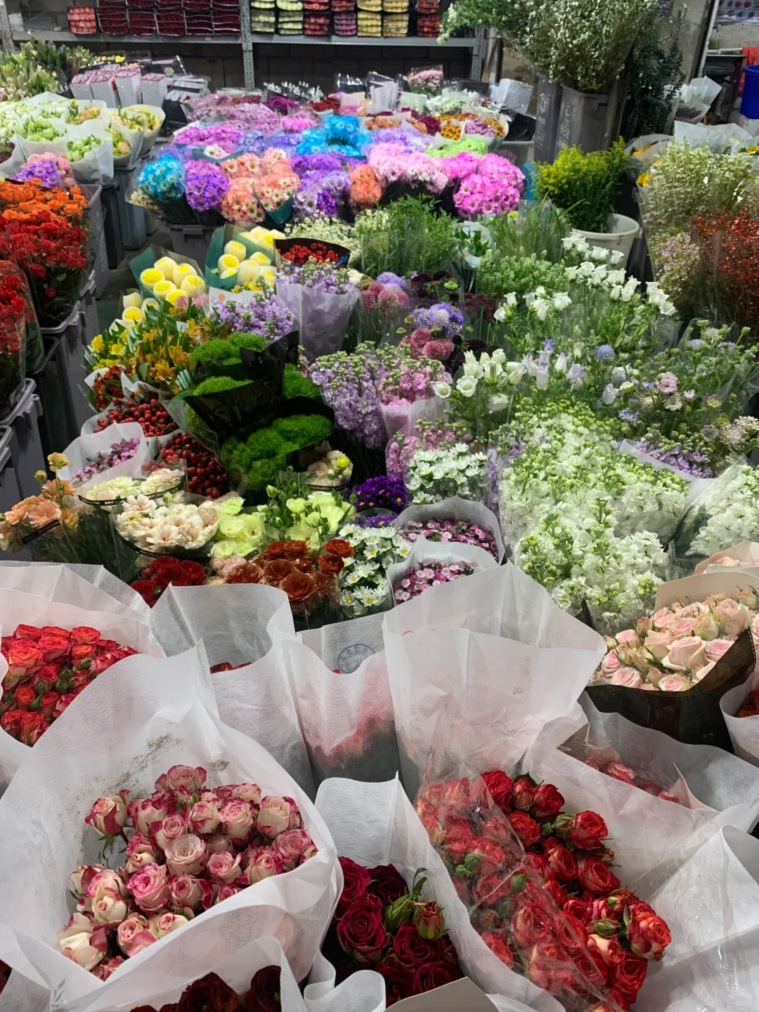 ?南坪会展花市攻略｜花花世界里的宝藏地！