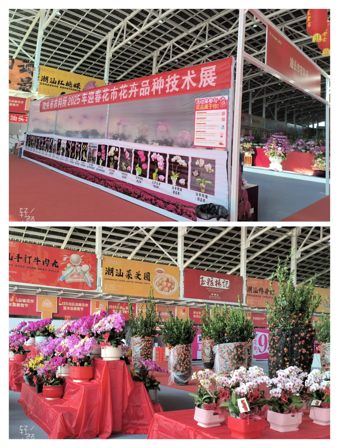 日常出行记录(៸៸᳐⦁⩊⦁៸៸᳐ )੭