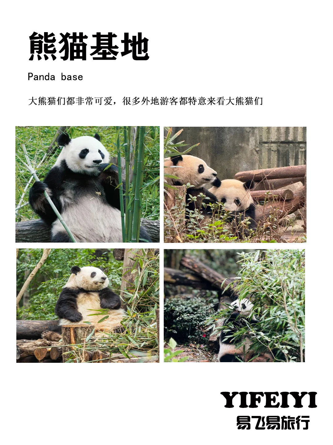 四川旅游 | 私人定制随心玩，景点任意搭配