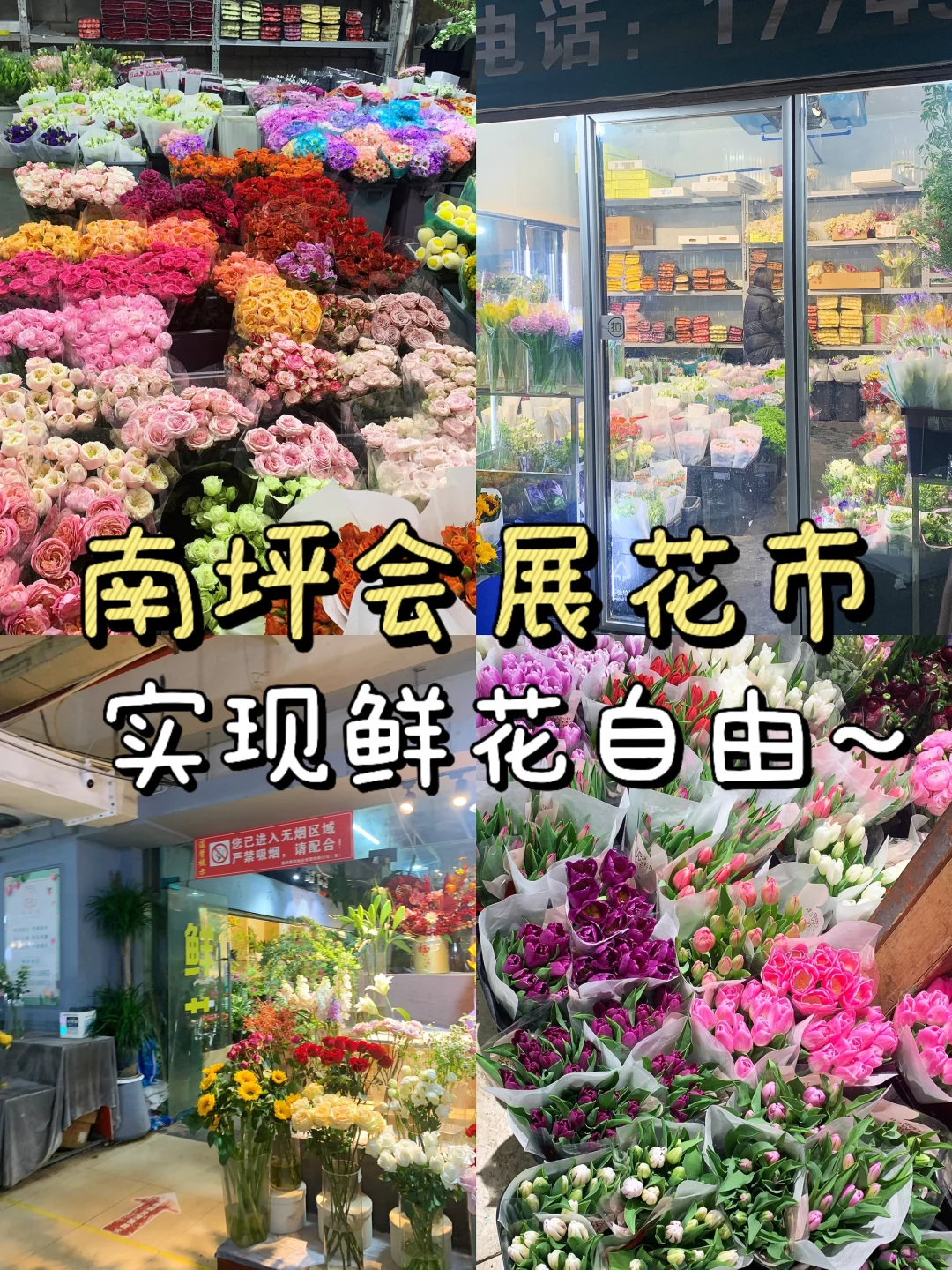 ?南坪会展花市攻略｜花花世界里的宝藏地！