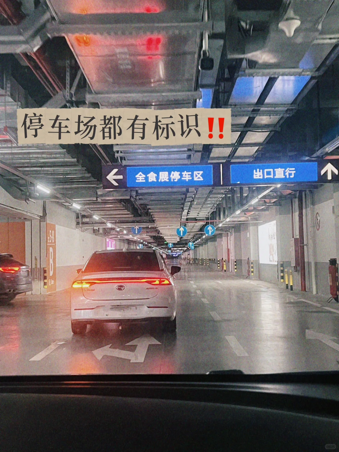 深圳全食展，快冲冲冲！