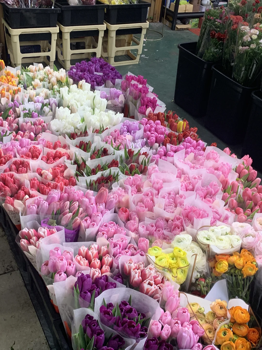 ?南坪会展花市攻略｜花花世界里的宝藏地！