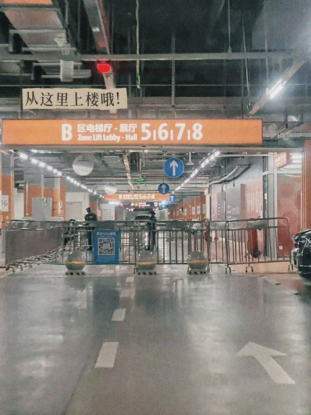 深圳全食展，快冲冲冲！