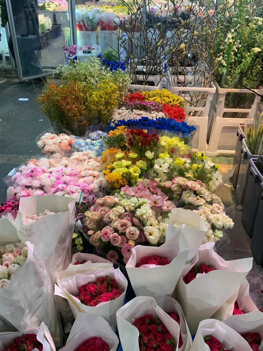 ?南坪会展花市攻略｜花花世界里的宝藏地！