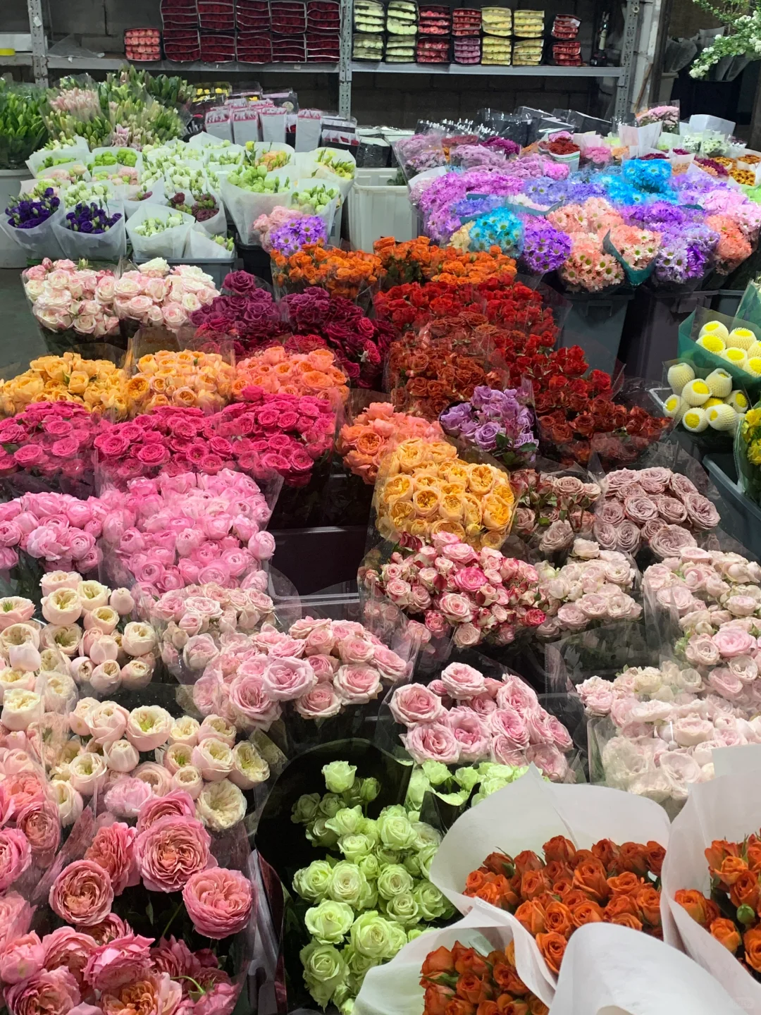 ?南坪会展花市攻略｜花花世界里的宝藏地！