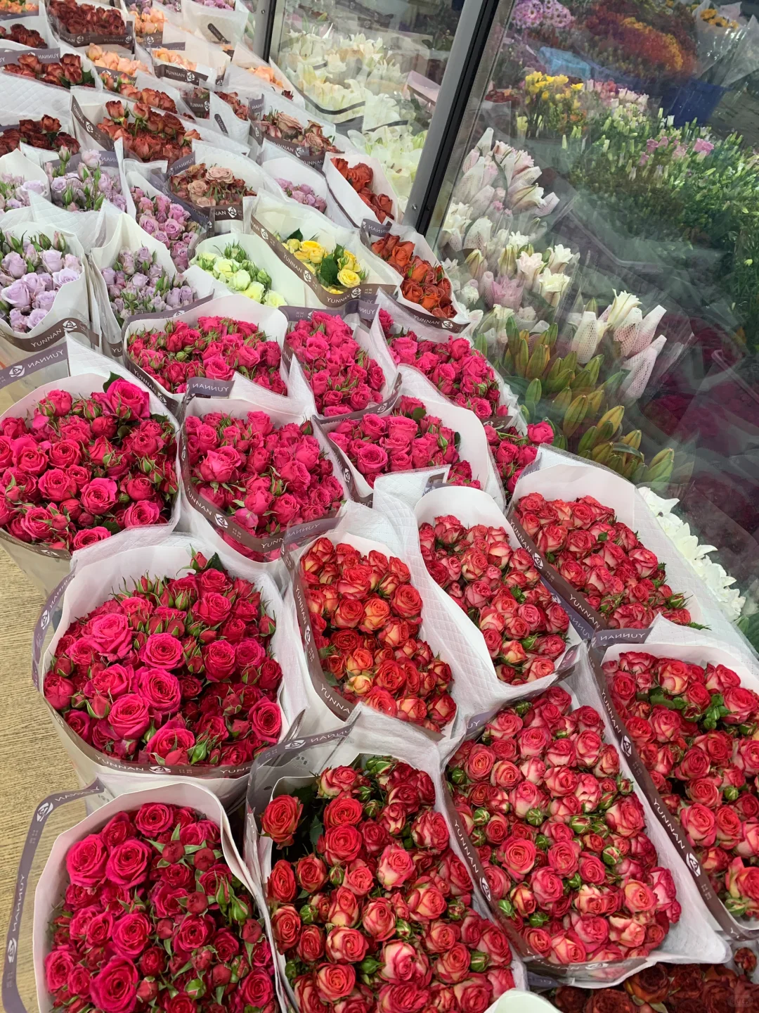 ?南坪会展花市攻略｜花花世界里的宝藏地！